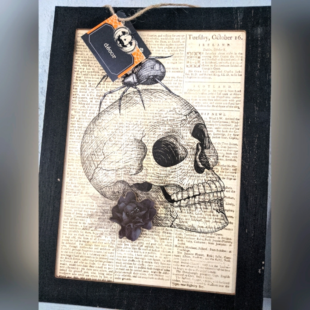 Halloween Edgar Allan Poe Vintage Style Skull Art Oddity Wall Witchy Gothic